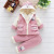 New Little Children's Clothes Vest Three-Piece Autumn and Winter Baby Cotton-Padded Clothes Baby Outdoor Clothing Suit Wholesale Factory Supplier