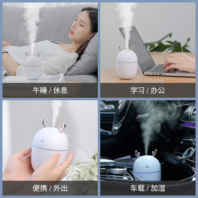 Product Image Gallery