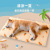 Dog Ice Pad Summer Mat Kennel Pad Cat Cool Pad Mattress Cooling Sleeping Mat Bite-Resistant Pet Ice Mat Ice Pad