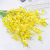 5 Fork Yellow Dancing-Lady Orchid Simulation High-End Flower Wedding Home Decoration Literary Heart Phalaenopsis Fake Bouquet Factory Wholesale