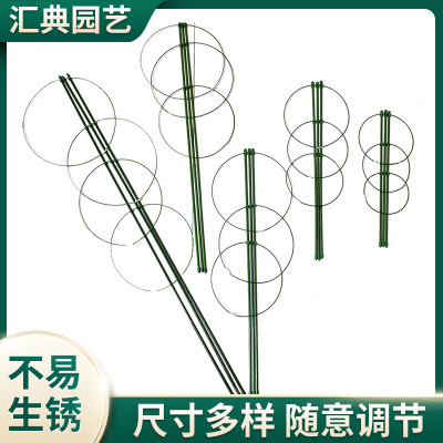 Money Tree Rattan Bracket Horticultural Iron Wire Binding Vine Climbing Rod Vegetable Fruit Plant Vine Climbing Fixed Support Rod