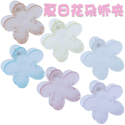 Dongdaemun Frosted Jelly Colorful Flower Hair Jaw Clip 6cm Summer Fresh Holiday Headdress Side Clip Hairpin