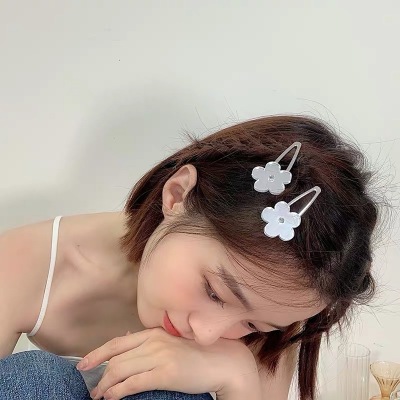 Internet Celebrity New Simple Fashion Girly Simplicity Korean Style Fancy Cropped Hair Clip Large Side Clip Bang Hairpin