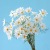 5-Head New York Aster Simulation Calliopsis Wedding Home Furnishing Photography Decoration Props Living Room Furnishings Simulation Flower