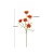 5-Head New York Aster Simulation Calliopsis Wedding Home Furnishing Photography Decoration Props Living Room Furnishings Simulation Flower
