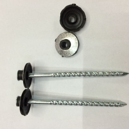Ring Nail Circle Nail Combination Nail with Plastic Cap Gasket Nail 