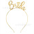Bachelor Party Bride to Be Set Team Bridesmaid Group Veil Shoulder Strap Headband Rose Gold Badge Glasses