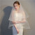 Short Double Layer Veil Bride Wedding Accessories with Hair Comb Exquisite Elastic Net Welt Factory in Stock Wholesale