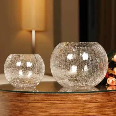 Small Creative Ice Flower Fish Globe Transparent Ball round Hydroponic Micro Landscape Glass Vase Home Decoration Wholesale