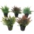 Factory Wholesale Simulation Indoor Bonsai Green Plant Nordic Style Ins Simulation Plant Bonsai Home Desktop Green Plant