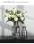 Modern Simple Titanium-Plated Creative Glass Vase Living Room Dining Table Furniture Decoration Hydroponic Glass Flower Container