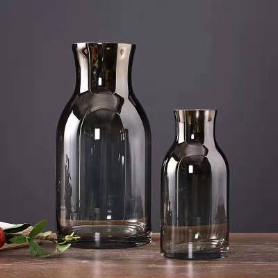 Modern Simple Titanium-Plated Creative Glass Vase Living Room Dining Table Furniture Decoration Hydroponic Glass Flower Container
