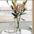 Nordic-Light Luxury Hammered Pattern Glass Vase Transparent Gold Living Room Flower Arrangement Lily and Dracaena Sanderiana Flowers Table Decoration