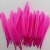 Factory Wholesale Goose Feather Small Straight Knife Feather Jewelry Crafts Accessories Knife Hair Pendant Clothing Pendant Ornament