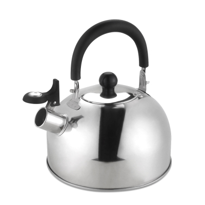 Wholesale guangdong custom best stainless steel tea kettle w