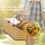 Outdoor Picnic Insulator Basket Outing Essential Folding Portable Storage Box Takeaway Delivery Box Outing Insulator Basket