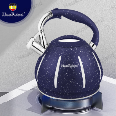 Hausroland Stainless Steel 304 Whistle Kettle Large Capacity Gas Induction Cooker Household Sound Kettle