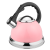 Hausroland Gas Kettle Stainless Steel Whistling Kettle Gas Induction Cooker Household Kettle Wholesale