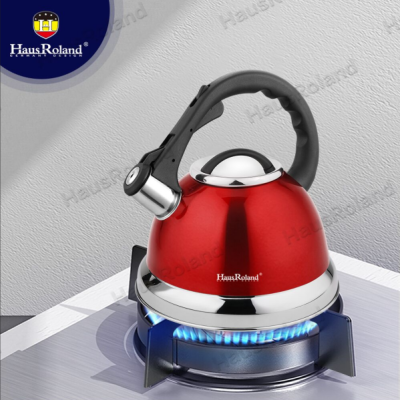 Hausroland Gas Kettle Stainless Steel Whistling Kettle Gas Induction Cooker Household Kettle Wholesale