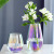 European-Style Creative Fresh Colored Glass Vase Flower Arrangement Dried Flower Device Water Planting Bottle Living Room Decorations Decoration Wholesale