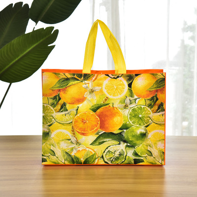 Dried Shrimp Non-Woven Fruit Bag Clothing Shopping Bag Woven Buggy Bag Color Printing Film Packaging Handbag in Stock