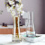 Fresh Transparent Glass Vase Decoration Creative Colorful Vase Single Flower Vase Hydroponic Dried Flowers Plug Flower Vase