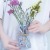 Nordic Instagram Style Creative Glass Vase Decoration Crafts Transparent Aquatic Flower Arrangement Tulip Decorations