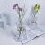 Nordic Instagram Style Creative Glass Vase Decoration Crafts Transparent Aquatic Flower Arrangement Tulip Decorations