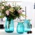 Nordic Transparent Vintage Pastoral Style Thick Color Flower Arrangement Water Glass Vase Living Room Creative Simple Ornaments