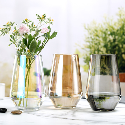 Nordic Instagram Style Electroplating Magic Color Vase Glass Transparent Living Room Flower Arrangement Simple Gradient Color Vase