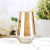 Nordic Instagram Style Electroplating Magic Color Vase Glass Transparent Living Room Flower Arrangement Simple Gradient Color Vase
