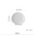 Pure White Special Ceramic Shell Dish Shell Dial Simple Western Cake Pasta Steak Plate Japanese Style Sushi Plate