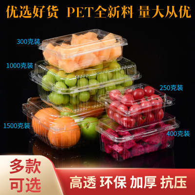 Fruit Box with Holes Strawberry Packaging OneCattyPackage Vegetable Food Preservation Plastic Box Rectangular