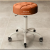 Lift Bar Chair Swivel Beauty Stool Nail Stool Laboratory Chair Workshop Work Stool