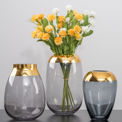 Nordic Creative Gold-Plated Colorful Gilt Edging Glass Vase Flowers Flower Holder Home Decoration Decoration Crafts