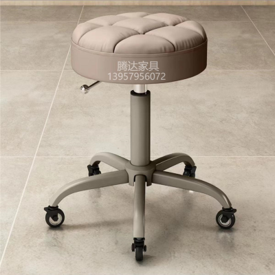 Lift Bar Chair Swivel Beauty Stool Nail Stool Laboratory Chair Workshop Work Stool