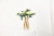 Nordic Creative Electroplating Colorful Glass Vase Colorful Smoky Gray Amber Flower Container Fresh Decoration Decoration New