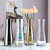 Fresh Transparent Glass Vase Decoration Creative Colorful Vase Single Flower Vase Hydroponic Dried Flowers Plug Flower Vase