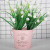 Simple Nordic Succulent Flower Pot Iron Ins Desktop Pot Flower Pot Mini Korean Pen Holder