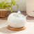 Cross-Border Supply 500G Salt Jar Ceramic Cruet Tsorage Tank Kitchen Supplies Creative Seasoning Box Match Sets