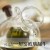 Glass Oiler Kitchen Utensils Leak-Proof Soy Sauce Bottle Vinegar Bottle Seasoning Bottle Multifunctional Seasoning Set