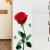 Extra Large Rose Wall Sticker Three-Dimensional Wall Sticker and Wall Sticker Room Bedroom and Living Room Decoration Rose Flower