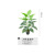 Nordic Artificial Plant Monstera Potted Indoor Living Room Landscaping Decoration Fake Green Plant Fairy Leaf Bionic Buddha Hand Leaf