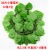 Emulational Red Maple Leaf Grape Leaves Fake Flower Rattan and Vine Plant Leaves Green Leaf Water Pipe Ceiling Decoration Plastic Leaves