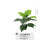 Nordic Artificial Plant Monstera Potted Indoor Living Room Landscaping Decoration Fake Green Plant Fairy Leaf Bionic Buddha Hand Leaf