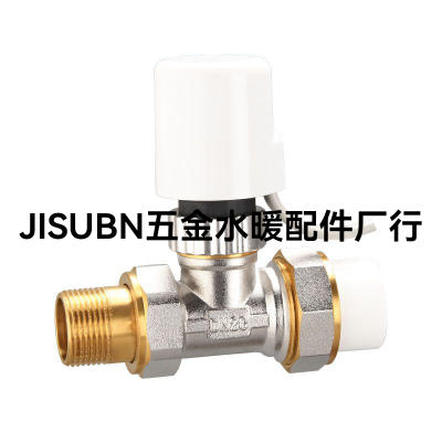 Brass Angle Thermostat Valve Manual Radiator Supporting Temperature Control Valve Door