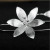 Earrings Wholesale Ethnic Style Fashion Lotus Handmade Dignified Flowers Ear Hook Earrings Stud Earrings for Women
