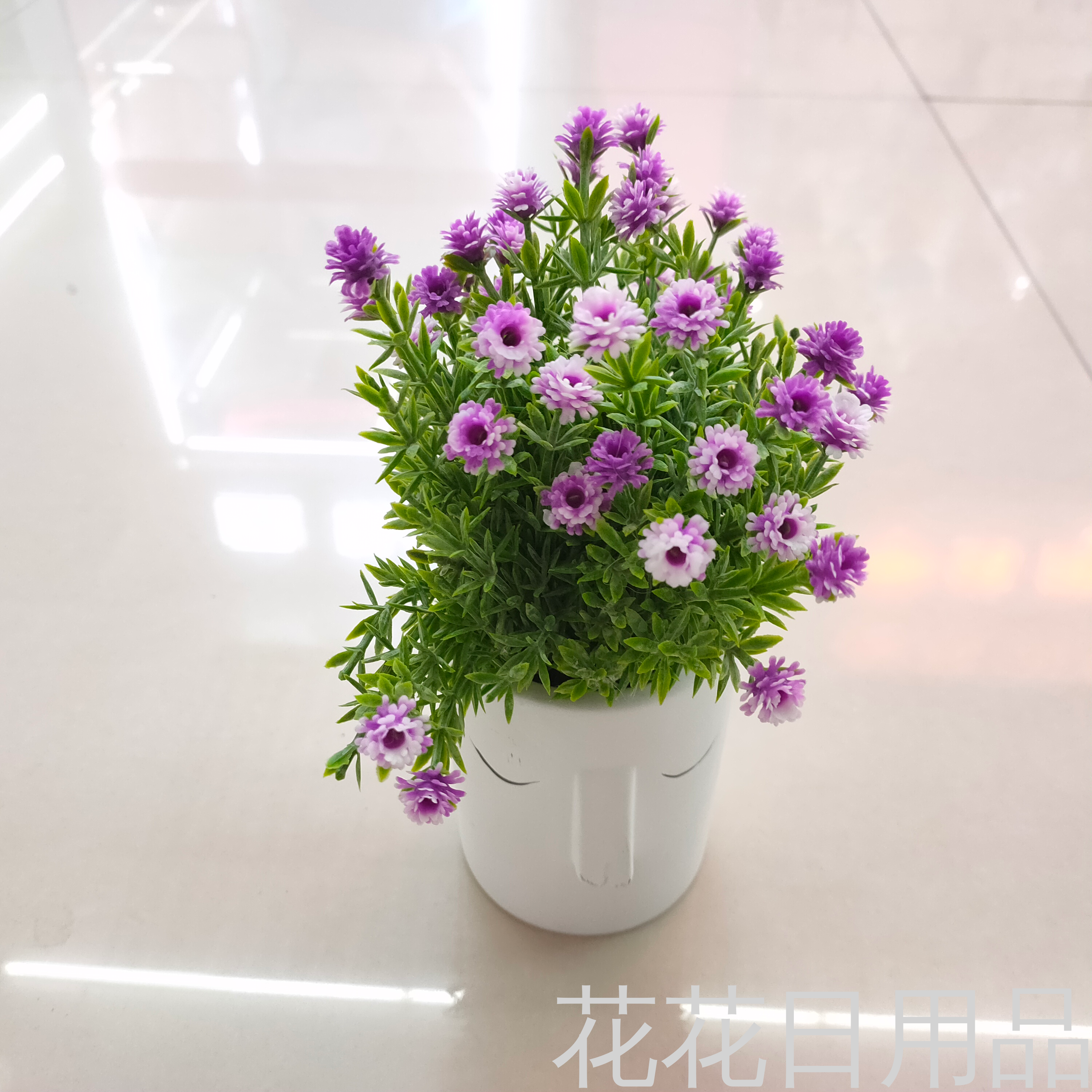 Product Image Gallery