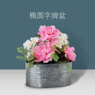 Factory Wholesale a Large Number of Retro Oval New Style with Word Plate Galvanized Iron Flowerpot Creative Design Quality Assurance