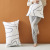 One Pillow Multi-Purpose ~ Nordic Instagram Style Hotel Single Internet Celebrity Pillow Pillow Core Fiber Pillow Backrest Lumbar Support Pillow Leg Pillow